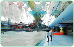 Z6·尊龙凯时「中国」官方网站